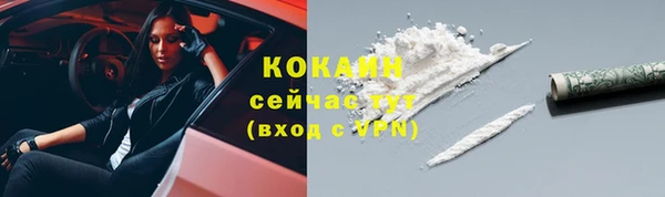 твердый Бронницы