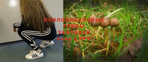соль курить ск Бугульма