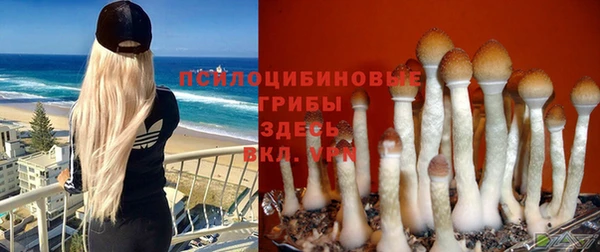 соль курить ск Бугульма