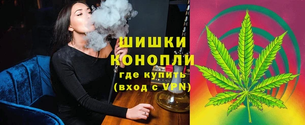 твердый Бронницы